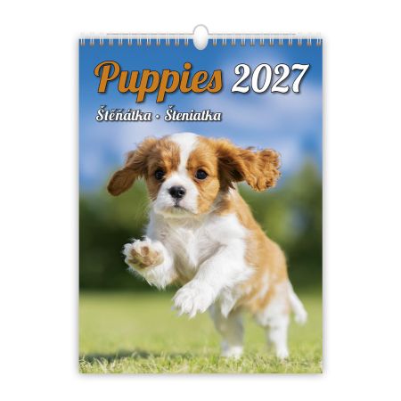 Nástenný kalendár 2027 Puppies/Štěňátka/Šteniatka Nástenný kalendár 2027 Puppies/Štěňátka/Šteniatka