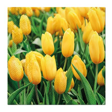 Ubrousky PAW L 33x33cm Tulips Field