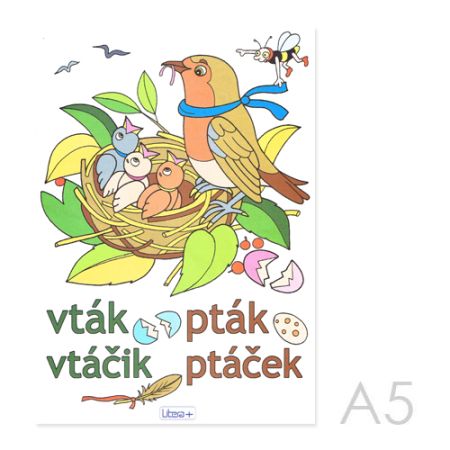 Omalovánka A5 Litera - Ptáček
