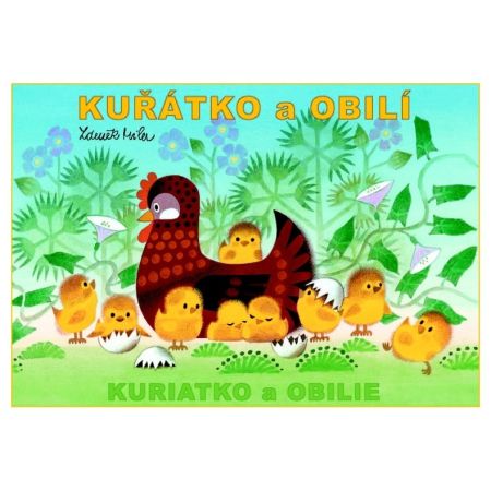 Omalovánky A5 Akim - Kuře a kukuřice