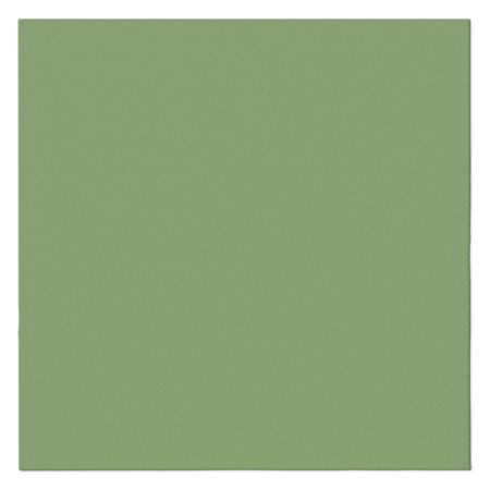 Ubrousky PAW AIRLAID 40x40 cm (50 ks) Monocolor Green Ubrousky PAW AIRLAID 40x40 cm (50 ks) Monocolor Green