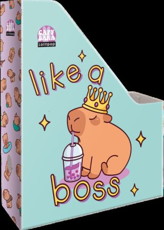 box na sešity skládací A4 Lollipop Capybara