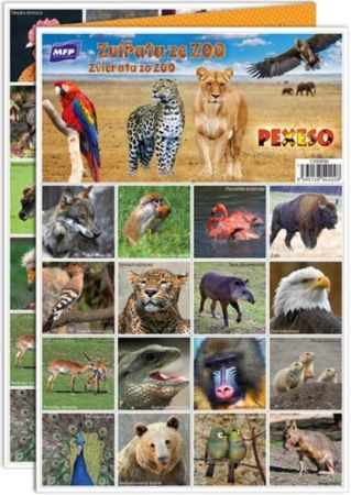 Pexeso M zvířata ze ZOO