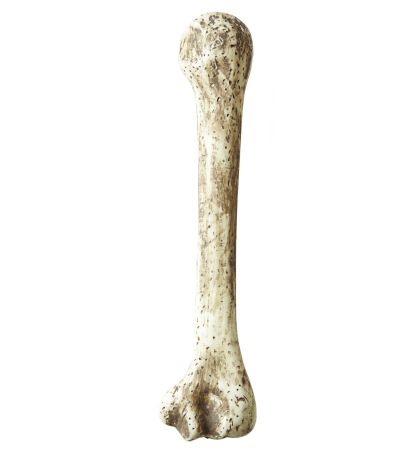 Widmann Kost velká dekorace 36 cm
