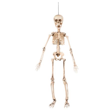 Boland Dekorace kostra na zavěšení 50 cm