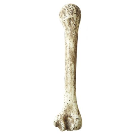 Widmann Kost velká dekorace 36 cm Widmann Kost velká dekorace 36 cm