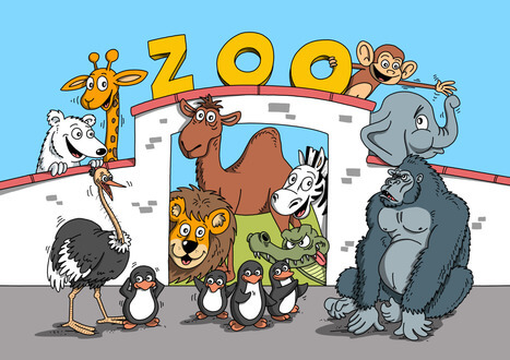 MP omalovánky LUX ZOO