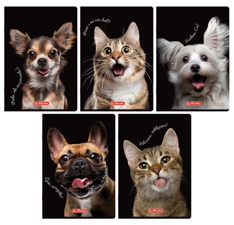 Sešit A5 60 listů Crazy Animal linkovaný. ,balení 10 ks