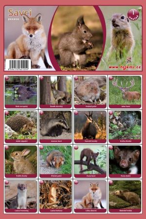 MP pexeso A4 Savci MP pexeso A4 Savci