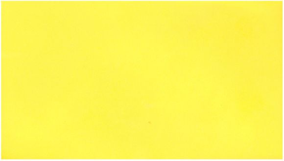 PUKKA obálka DL 100g žlutá kanárková/50/ ,balení 50 ks