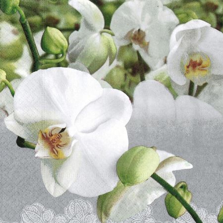 Ubrousky Paper Design L (20ks) orchid festival