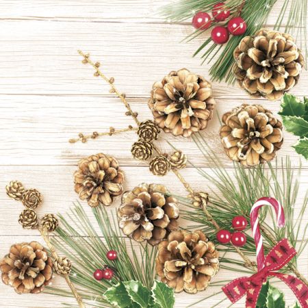 Ubrousky DAISY L (20ks) Pines and Larch Twig