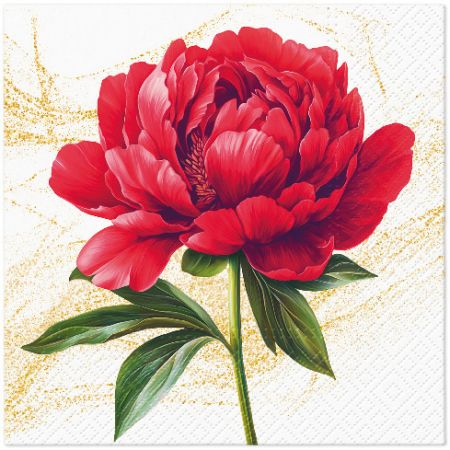 Ubrousky PAW Dekor L (20ks) Scarlet Flower Study