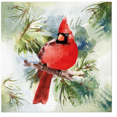 Ubrousky PAW Dekor L (20ks) Winter Cardinal Ubrousky PAW Dekor L (20ks) Winter Cardinal