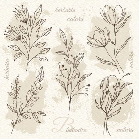 Ubrousky DAISY L (20ks) beige Flower Illustration on Watercolor Paper Ubrousky DAISY L (20ks) beige Flower Illustration on Watercolor Paper