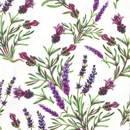 Ubrousky MAKI L (20ks) Lavender Twigs