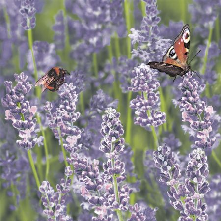 Ubrousky MAKI L (20ks) Lavender Field with Bumblebee