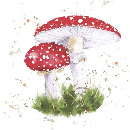 Ubrousky MAKI L (20ks) Painted Toadstool Ubrousky MAKI L (20ks) Painted Toadstool