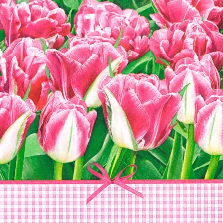 Ubrousky MAKI L (20ks) Pink Tulips Time