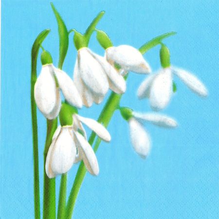 Ubrousky MAKI L (20ks) Blossoming Cherry Frame Ubrousky MAKI L (20ks) Blossoming Cherry Frame