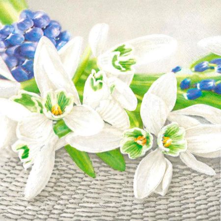 Ubrousky MAKI L (20ks) Snowdrops on Wicker Background