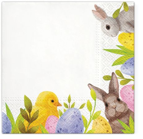 Ubrousky PAW TETE L (20ks) Bunny Corner