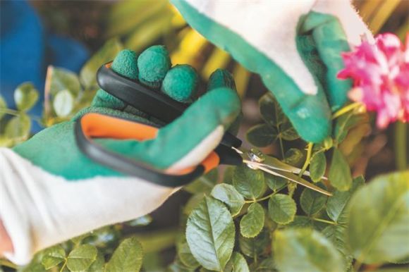 Nůžky zastřihávací Solid SP15, černá - oranžová, univerzální, FISKARS 1051602 Nůžky zastřihávací Solid SP15, černá - oranžová, univerzální, FISKARS 1051602