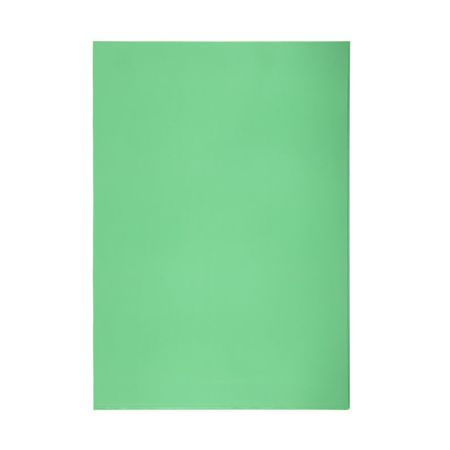 Zakládací obal barevný A4 silný - zelená / 10 ks Zakládací obal barevný A4 silný - zelená / 10 ks