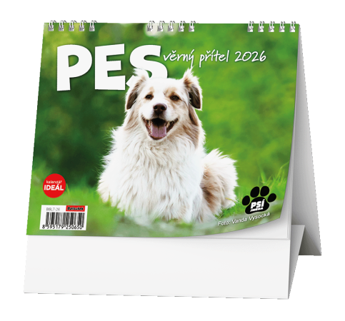 Kalendář stolní MINI Pes, věrný přítel / BSL7