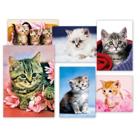 Pohlednice - koťata / mix Pohlednice - koťata / mix