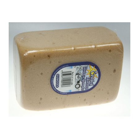 Školní houba - houba