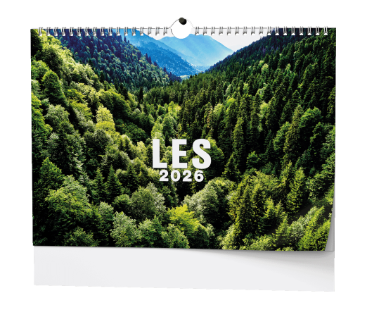 Kalendář nástěnný Les / BNK22