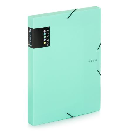 Box na spisy A4 s gumou PASTELINi - zelená