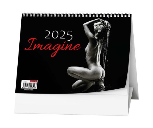 Kalendář stolní obrázkový Imagine / BSE9