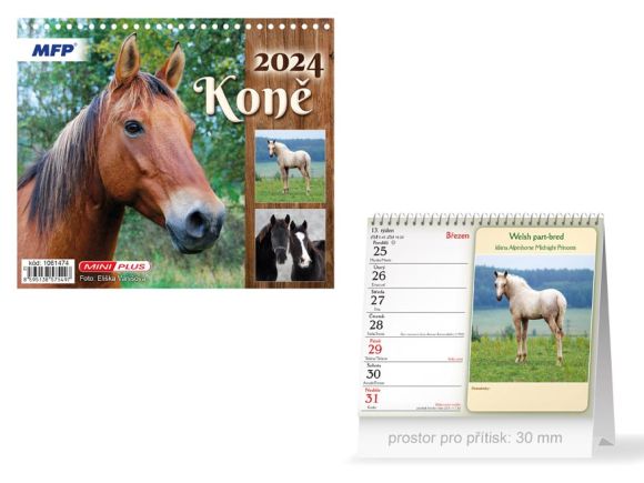 kalendář 2024 stolní mini Koně 1061474