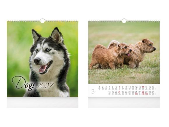 kalendář 2027 nástěnný malý Dogs 1061734