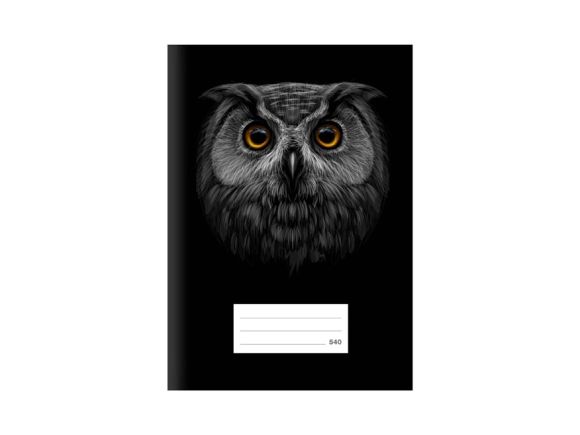 školní sešit LUX A5 540 7520381 školní sešit LUX A5 540 7520381