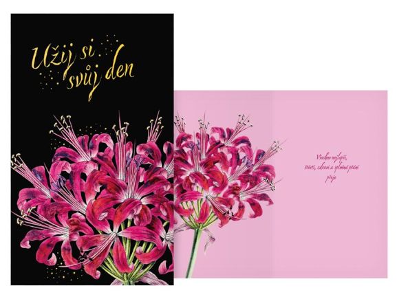 přání srdečné M11-595 H PRANI_H_710