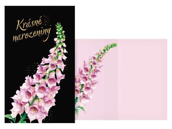 přání srdečné M11-596 H PRANI_H_711