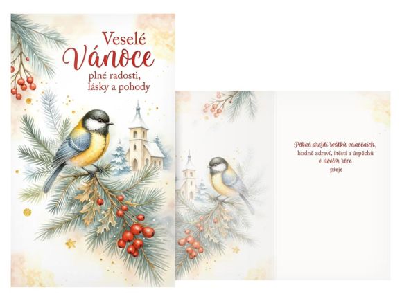 přání Vánoční V24-499 T PRANI_T_2460