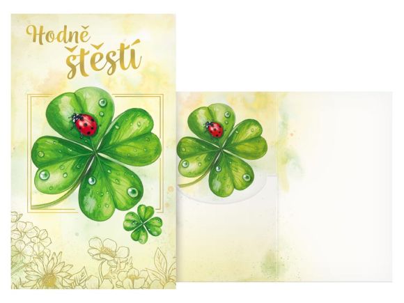 přání srdečné s klopou na peníze M11-605 W PRANI_W_263