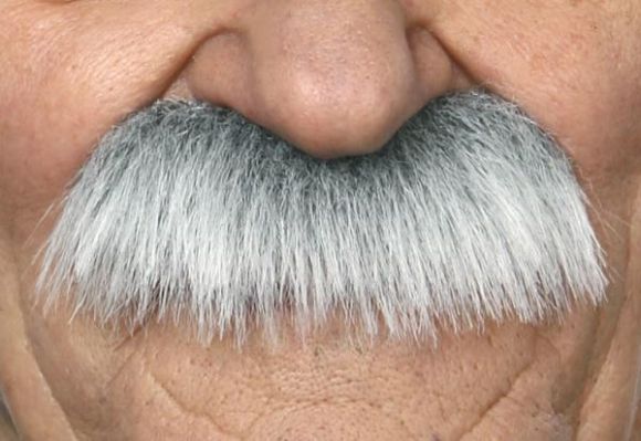 Knír dlouhý šedý