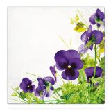Obrúsky TaT 33x33cm Pansies Frame