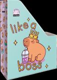 box na sešity skládací A4 Lollipop Capybara