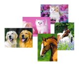 Pohlednice zvířátka mix ,balení 50 ks