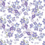 Ubrousky DAISY C (20ks) Delicate Forget me nots