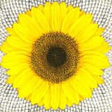 Ubrousky DAISY L (20ks) Sunflower on Seeds