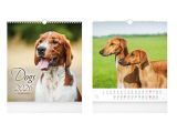 kalendář 2026 nástěnný malý Dogs 1061635