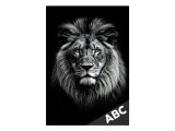 desky na ABC Lev 8021161