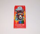 Pastelky 3134/24 OSEL trojhranné tenké